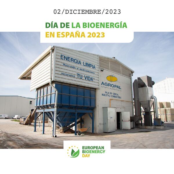 Día De La Bioenergía 2023 En España Avebiom